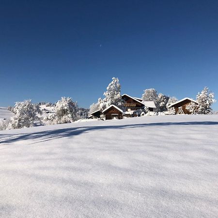 Ferienwohnung Aigisblick Mit Pool Und Sauna, Direkt Am Skihang ミッセン・ヴィルハムス エクステリア 写真