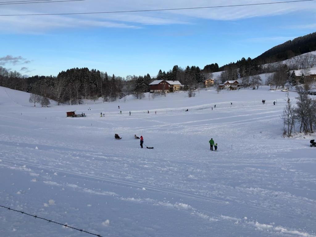 Ferienwohnung Aigisblick Mit Pool Und Sauna, Direkt Am Skihang ミッセン・ヴィルハムス エクステリア 写真