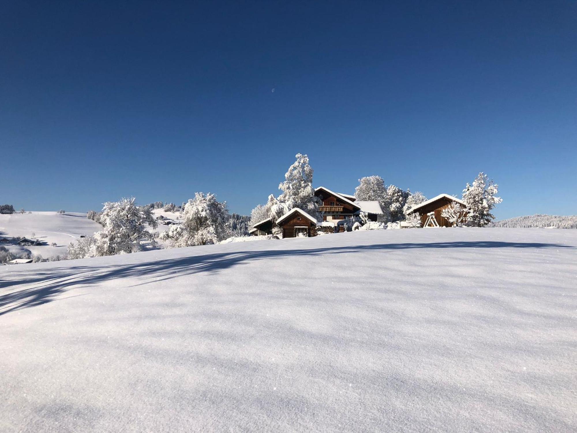 Ferienwohnung Aigisblick Mit Pool Und Sauna, Direkt Am Skihang ミッセン・ヴィルハムス エクステリア 写真